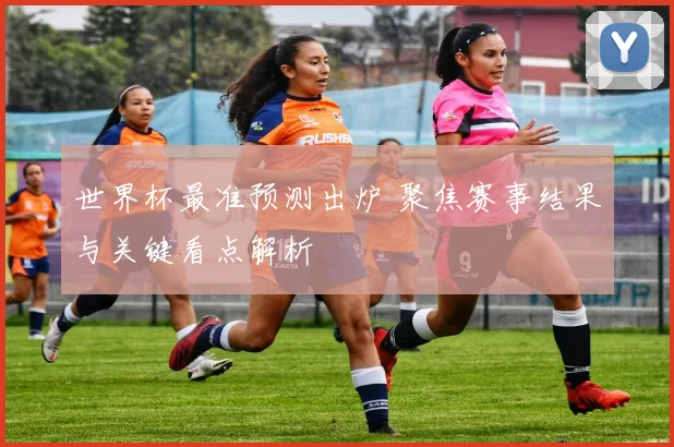 世界杯最准预测出炉 聚焦赛事结果与关键看点解析